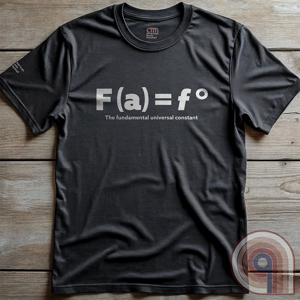 Charcoal T-shirt arranged flat on rough wooden planks, displaying the stark equation “F(a) = f°” and its “The fundamental universal constant” tagline.